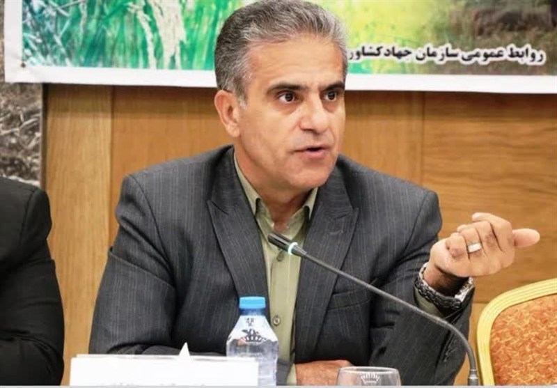 هدررفت میلیونی غلات زیر چرخ‌های فرسوده/ضرورت نوسازی ناوگان کشاورزی / اخبار مرکزی - اخبار استانها