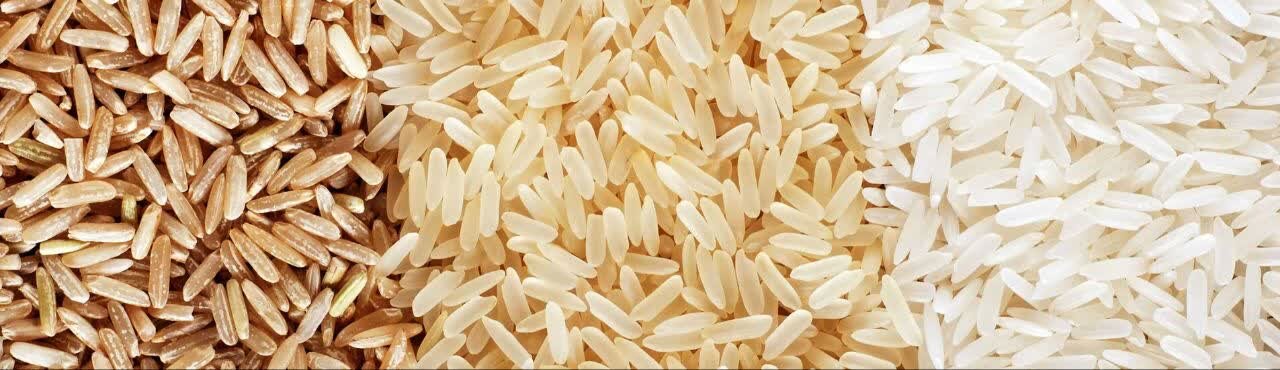 قیمت برنج در بازار همچنان در کانال ۴۵۰ تا ۵۵۰ هزار تومان/ کاهش قیمت مورد انتظار محقق نشد / قیمت برنج , بازار برنج , برنج ایرانی , فصل برداشت , نرخ برنج