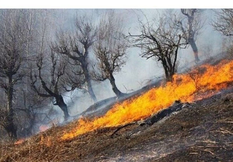 ثبت 250 آتش‌سوزی پوشش گیاهی در همدان/خطر حریق مراتع در کمین است / اخبار همدان - اخبار استانها