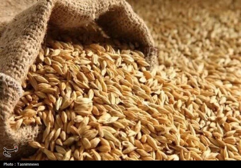 خرید 841 هزار تن گندم در گلستان / اخبار گلستان - اخبار استانها