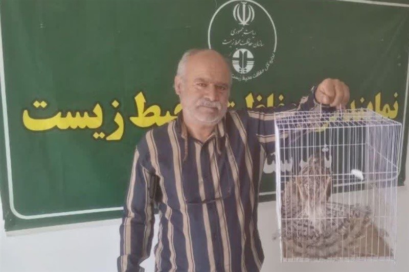 اقدام تحسین‌برانگیز شهروند مه ولاتی در نجات یک بهله دلیجه / اخبار خراسان رضوی - اخبار استانها