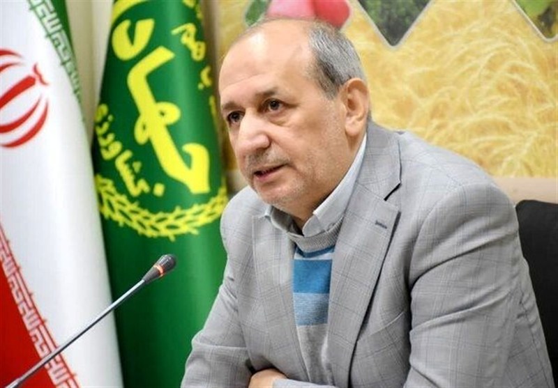 توسعه گلخانه‌های صادرات‌محور با ظرفیت نظام مهندسی کشاورزی / اخبار آذربایجان شرقی - اخبار استانها