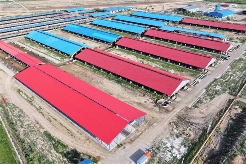 بحران در صنعتِ شرق؛وقتی مسکن‌های استانی، حریف دردِ ملی نمی‌شوند / اخبار خراسان رضوی - اخبار استانها