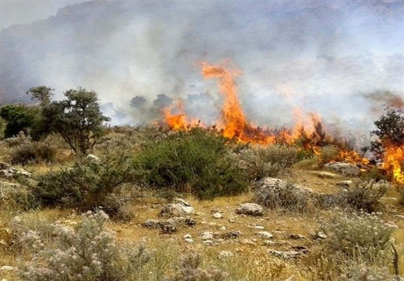 مهار آتش در کردستان با مدیریت علمی؛ کاهش 66 درصدی حریق‌ها / اخبار کردستان - اخبار استانها
