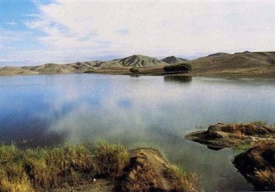 حیات دوباره قوریگول؛ بازگشت و زادآوری اردک سرسفید پس از سالها / اخبار آذربایجان شرقی - اخبار استانها
