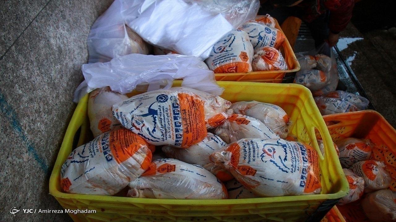 زیان سنگین مرغداران؛ چشم‌انتظار تعادل بازار با خرید حمایتی و اصلاح کالابرگ / مرغ , مرغداران , خرید حمایتی , مازاد تولید , تنظیم بازار